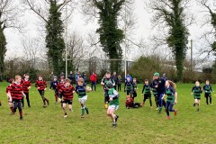 U11-b